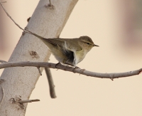 IMG_6690.JPG