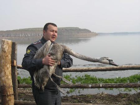 �� ����� ������-���� �������� ��� ���� ������ 