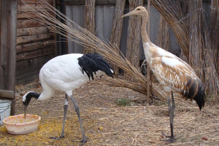 ������� ���������� �� ������� ������ ������������� �����