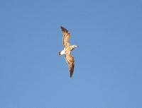 IMG_7754.JPG