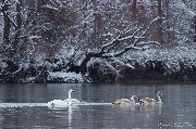 IMG_3246.jpg