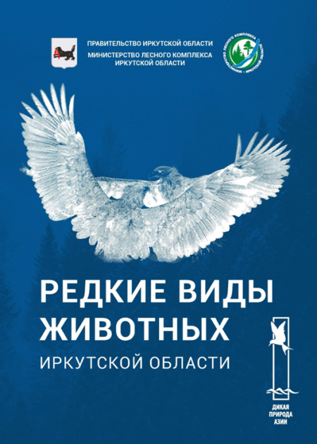 ������ ���� �������� ��������� �������