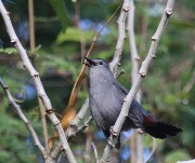 IMG_1476.JPG