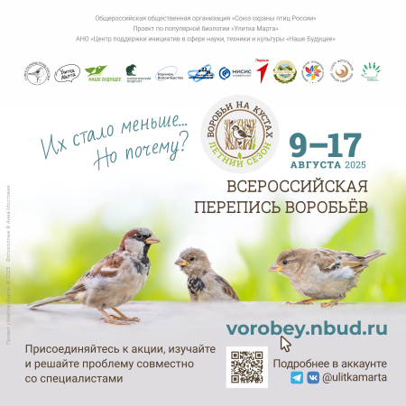 ������������� �������� �������� (������ ����)