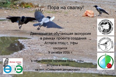 ���������������� ��������� ��������� � ������������ �������� ��� �. ���