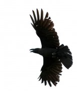 ZOO_5228.jpg