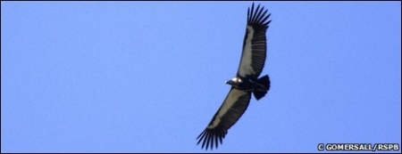 ��������� ����� ������� ��������������