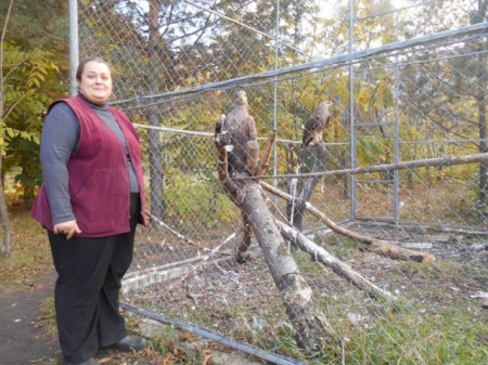 ������������ �� ����������� ������ �������� ����