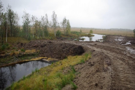 ���� ������������ ������: ���������������� ������ �������� �����