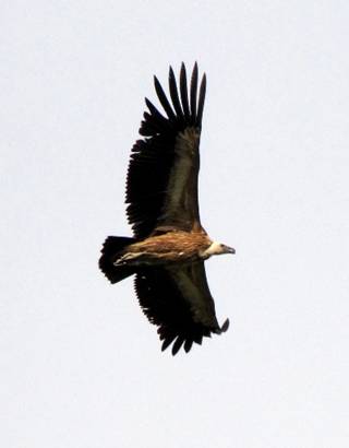 image002.jpg