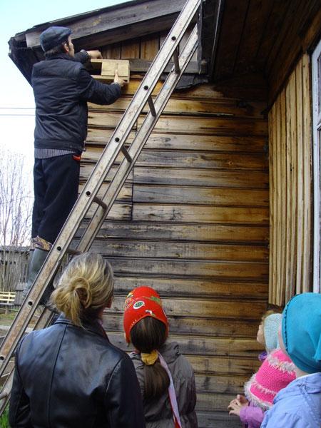 DSC03387_1.JPG