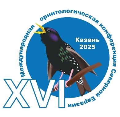 qCOcGI5uumnd4XyPPZfb5aPUpwvgmkBtQ5SeLj7V5ek3HwrwregtTxYPBCbKwtVImU3y9mGAsOv31UsNqQTg2OAp.jpg