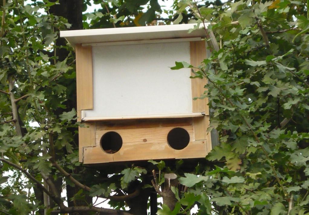 ����� � ����-�������