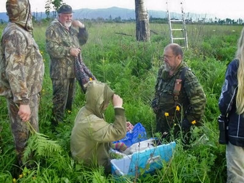 ���������� ������������� ����� � ���������� �����������