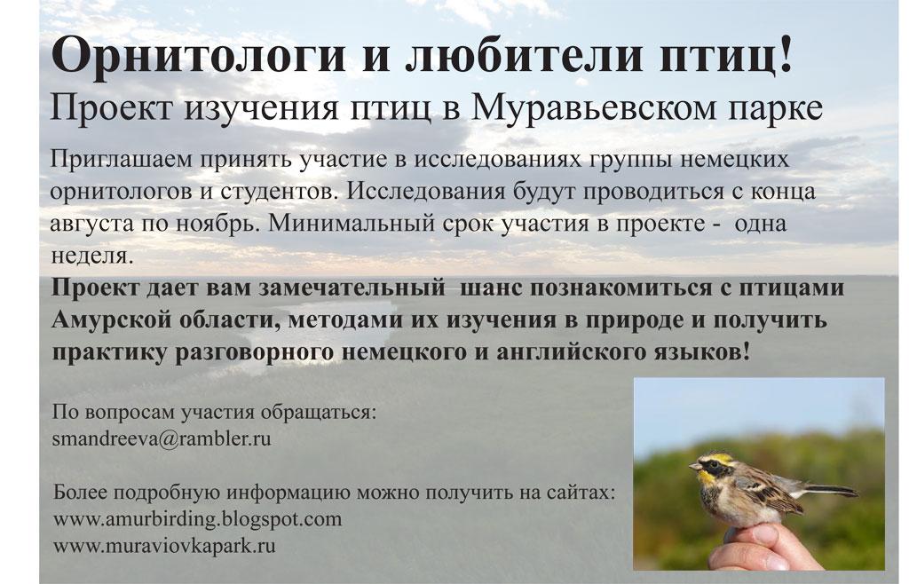 Volunteers-needed_Russian_1.JPG
