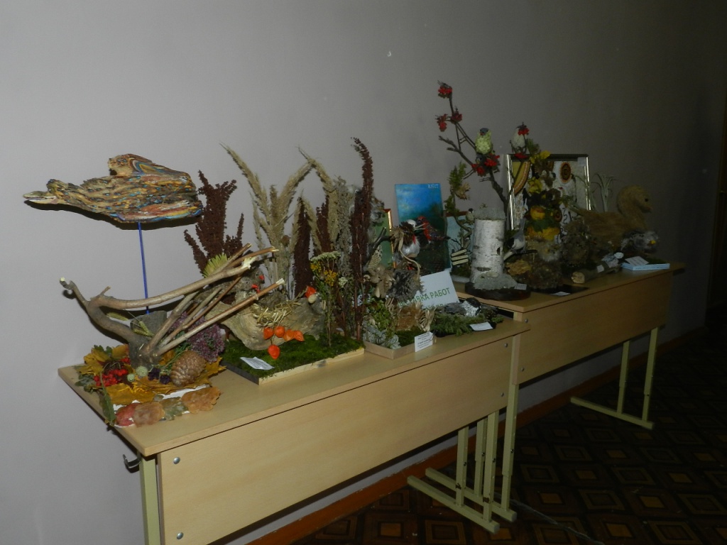 DSCN5566.JPG