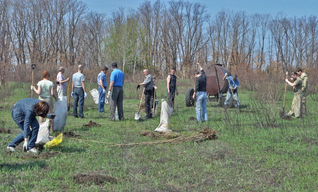 ����������