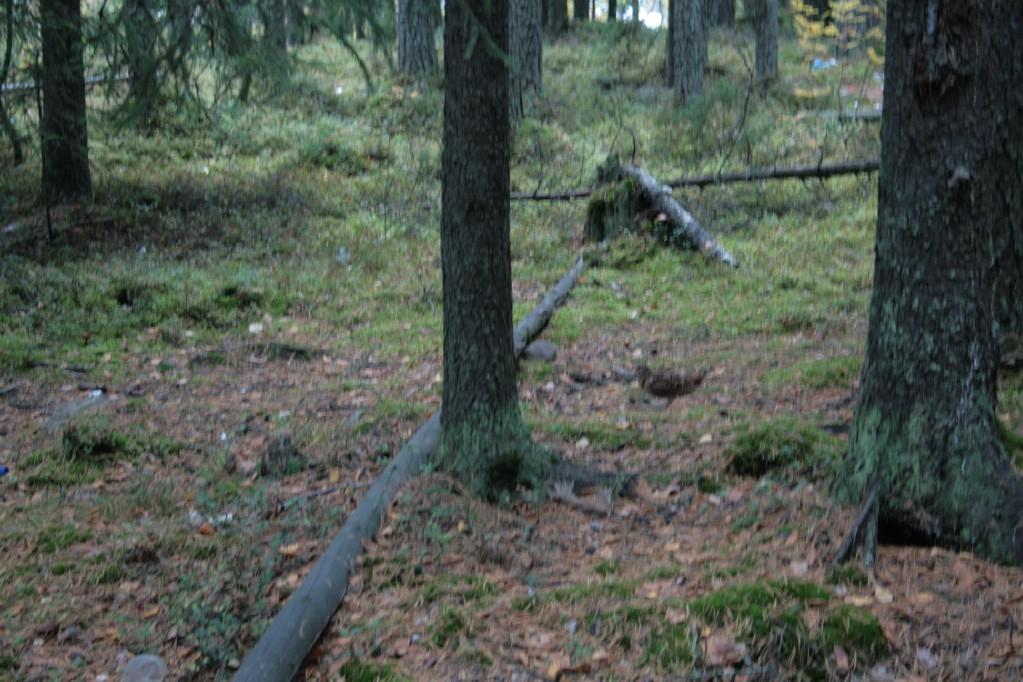 ��������� ���