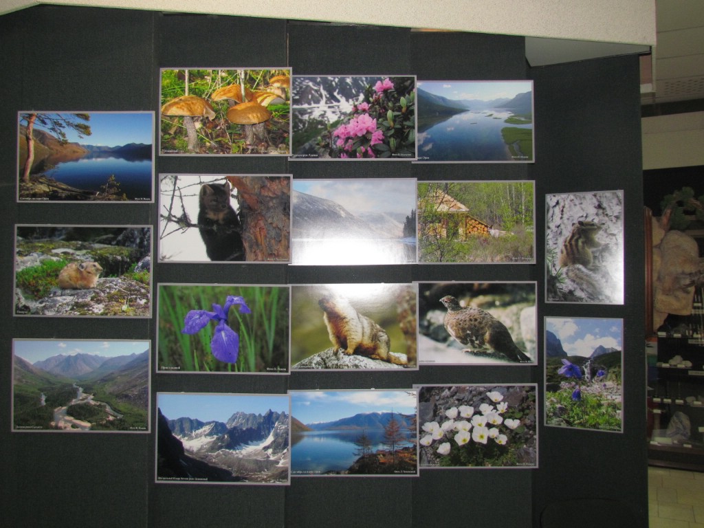 �������� ���������� �����������