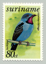 113.jpg