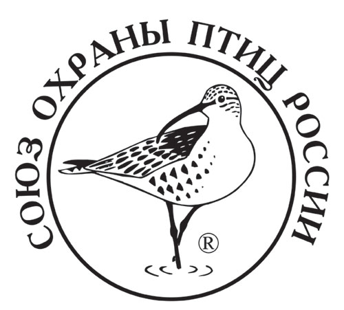 Curlew-krug-2-inet.jpg