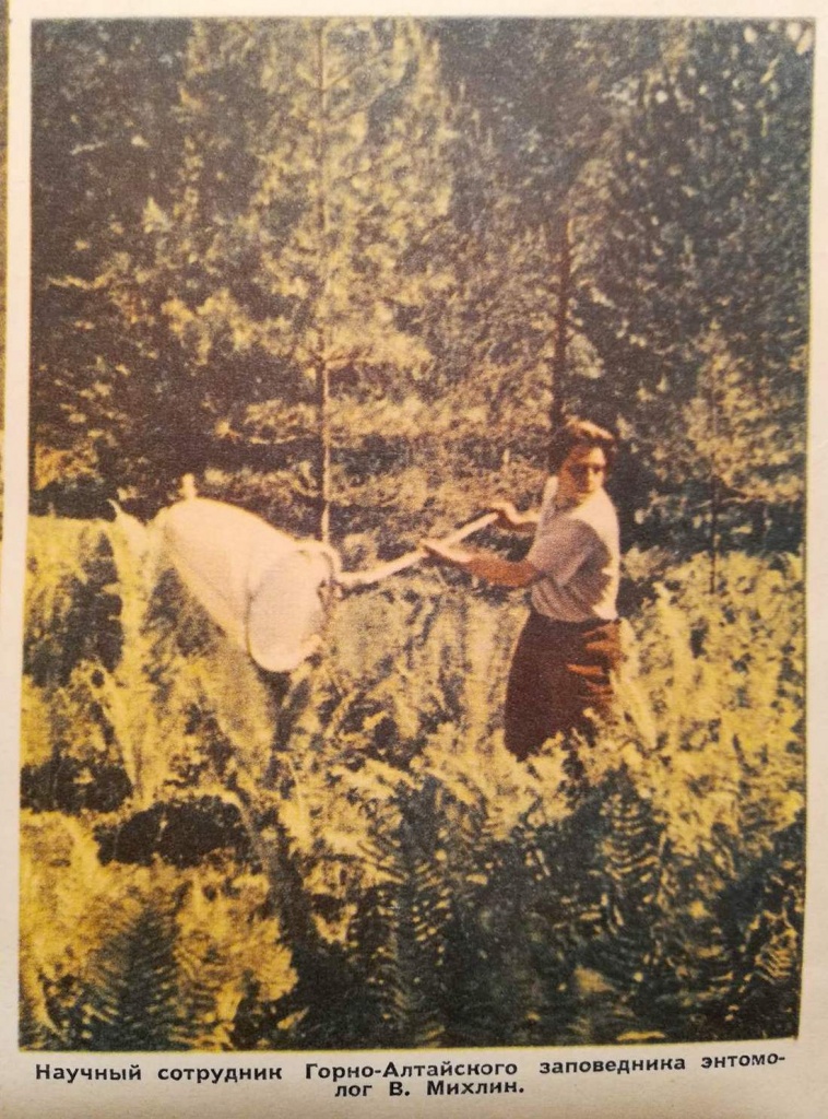 В. Е. Михлин на маршруте в Горно-Алтайском заповеднике, 1960 г. В. Е. Михлин на маршруте в Горно-Алтайском заповеднике, 1960 г.