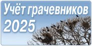 Грачевники.jpg
