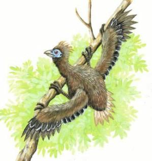 Paleo_1.JPG