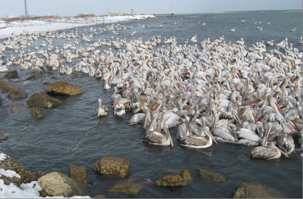 �������� � ���������