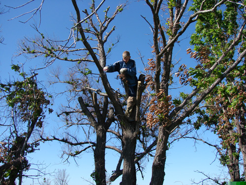 123_clip_image005.jpg