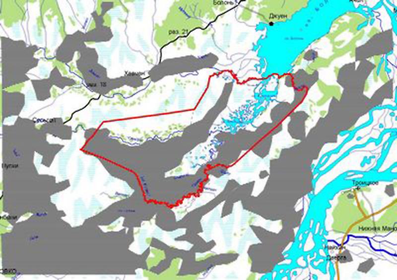 ����� ����������� �����������