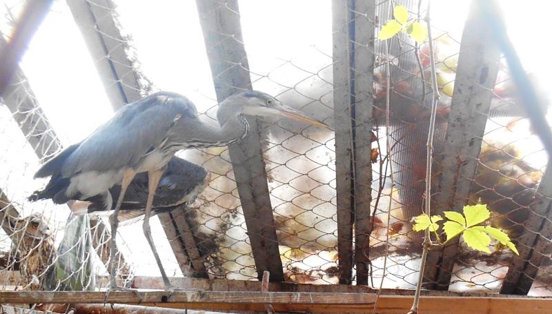 ����� �����