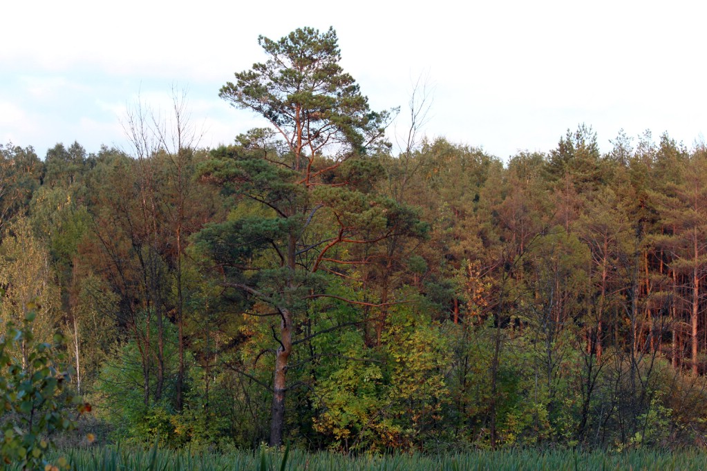 IMG_4687.jpg