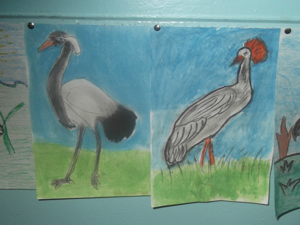 DSCF8115.jpg
