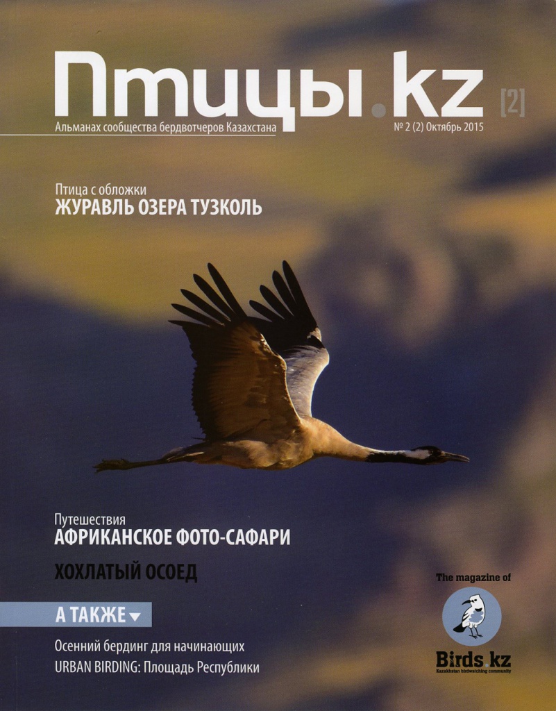 ����� KZ 2