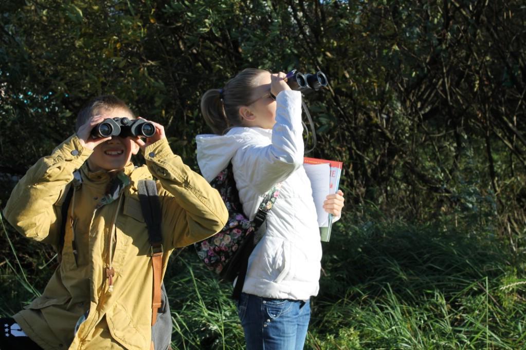 �����-��������� 2015