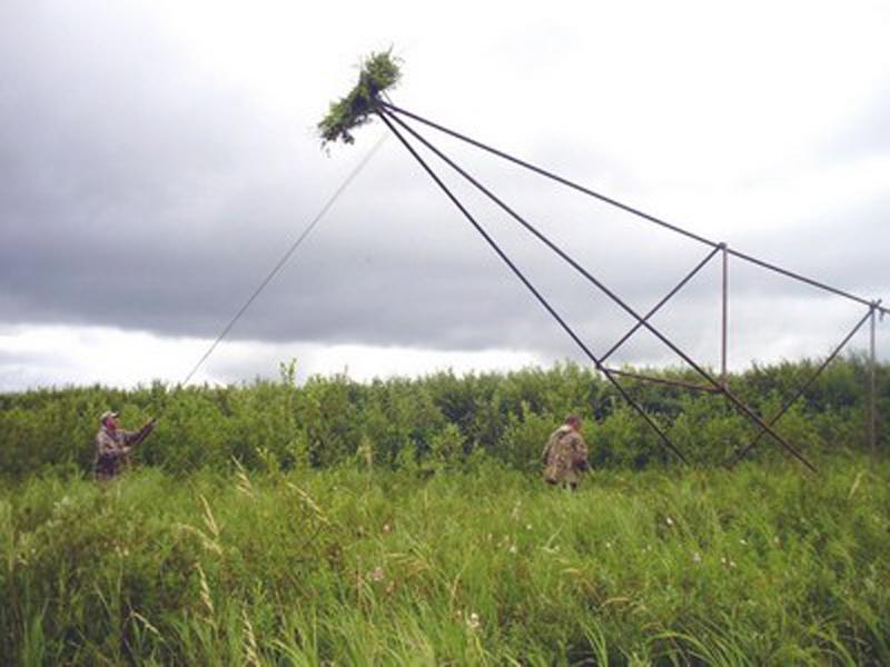 ��������� ������������� ����� ��� ����� ������ ������������ ����������� �����������