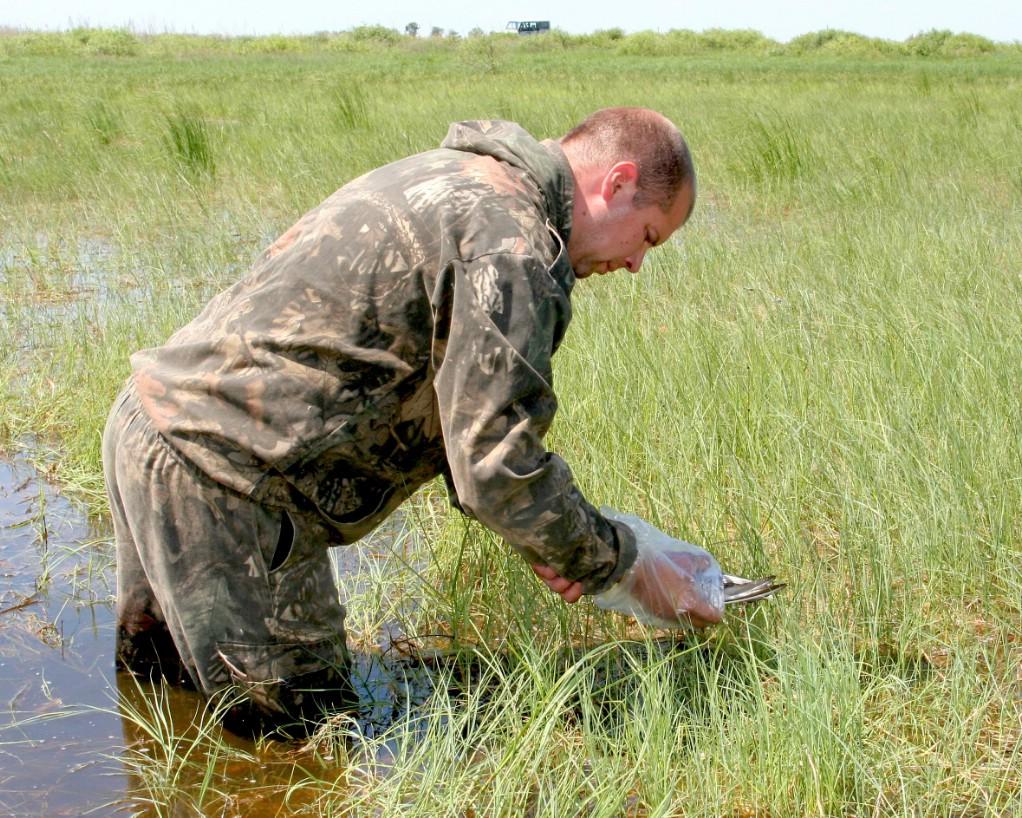 �� �������