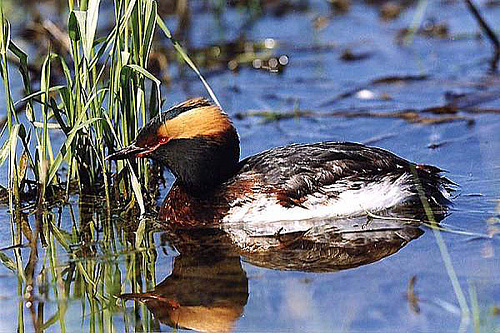 ������������ �������