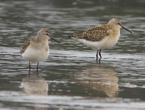 ������������