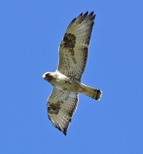 ������ � �����