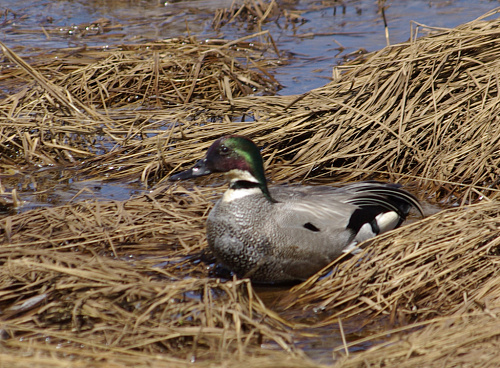 �������