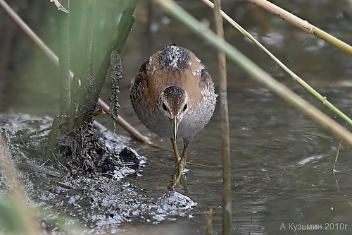 �����  �������