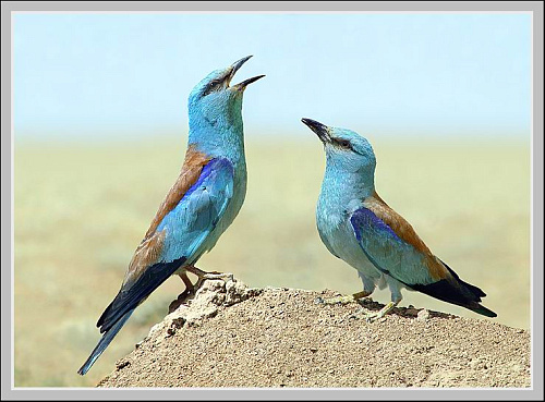 �������� � ��������� ������