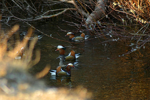 ����������