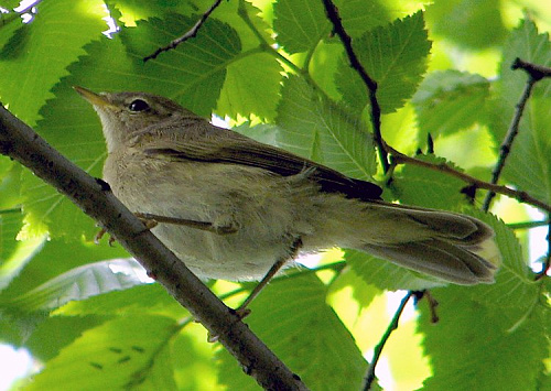 �������-���������