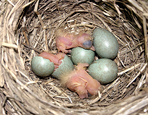 ����������