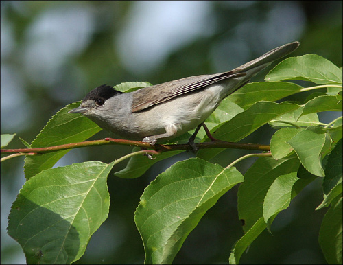 ������-������������