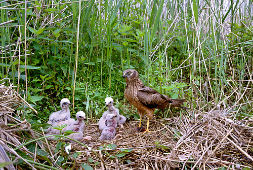 ����� �������� ���� � ������