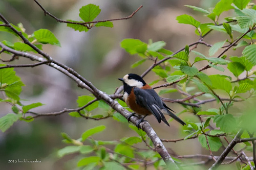 �������� ������